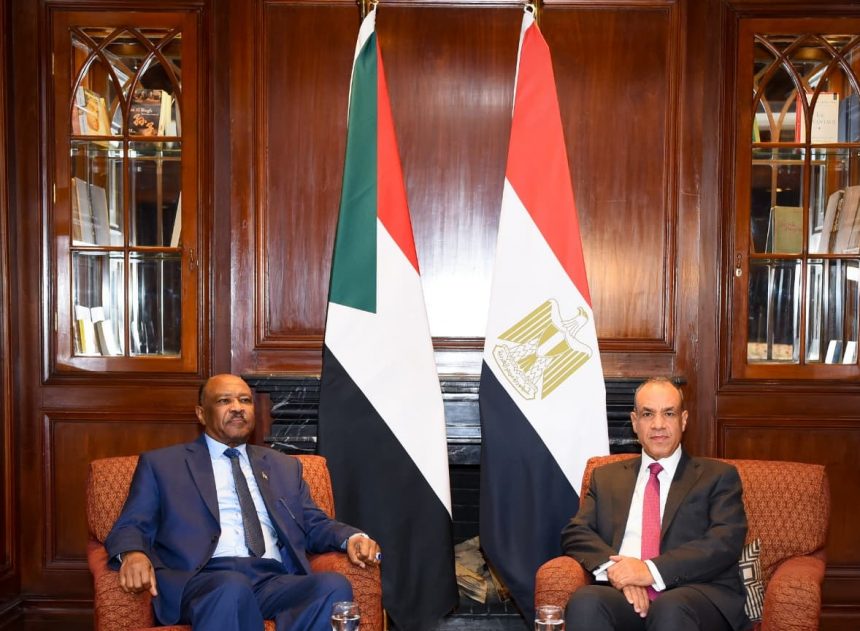 وزير الخارجية: أمن السودان واستقراره جزء لا يتجزأ من أمن واستقرار المنطقة 1 وزير الخارجية يستقبل نظيره السوداني e1761764829634