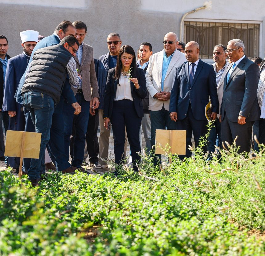 WhatsApp Image 2025 11 13 at 16.57.45 1337d7d6