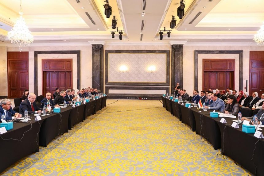 أبرزها الزراعة والإسكان والكهرباء والتنمية المحلية. اجتماعات الخبراء بين مصر والجزائر تتفق على 18 وثيقة