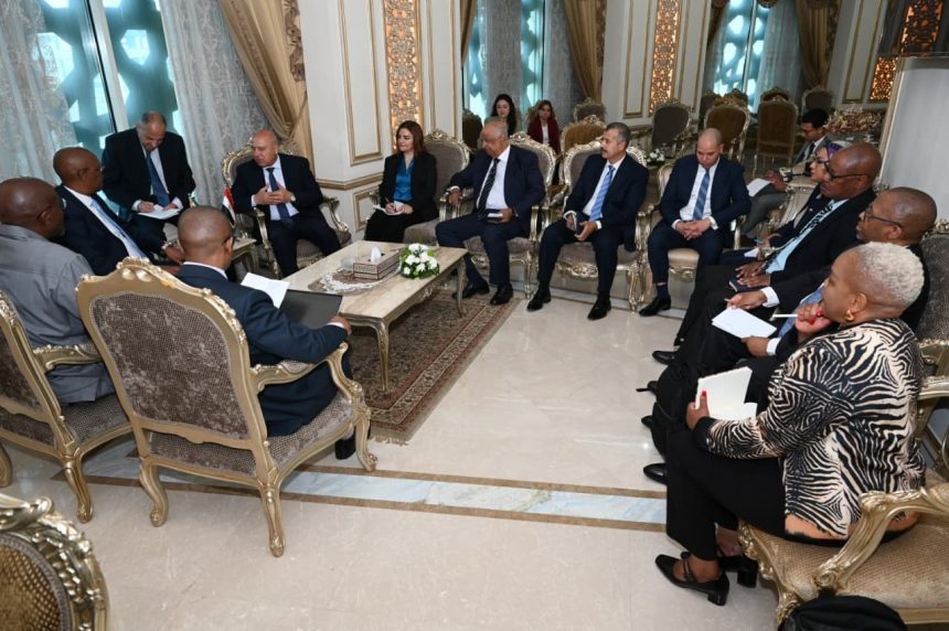 تشكيل فريق عمل من مصر وجنوب أفريقيا لتحديد مجالات التعاون الصناعي المشترك. ومساع لإقامة مناطق لوجستية