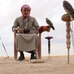صيادون سوريون في القامشلي يطاردون الصقور المهاجرة بشغف يغذيه الصبر