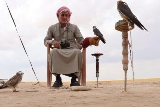 صيادون سوريون في القامشلي يطاردون الصقور المهاجرة بشغف يغذيه الصبر