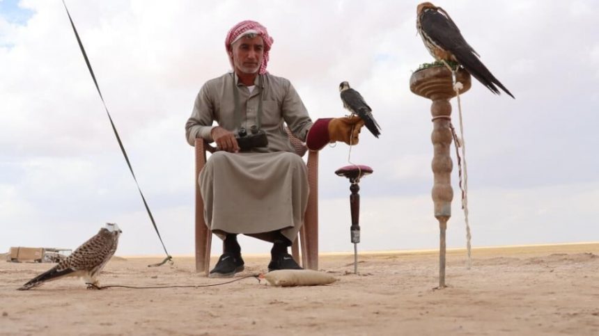صيادون سوريون في القامشلي يطاردون الصقور المهاجرة بشغف يغذيه الصبر