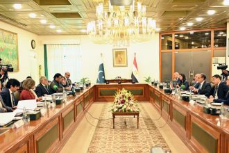 مشاورات سياسية بين مصر وباكستان