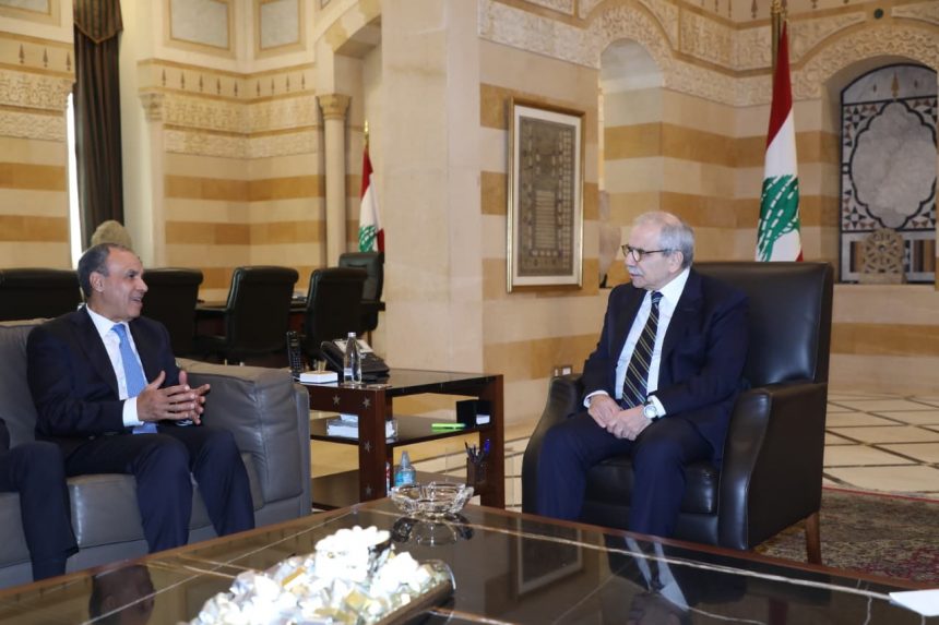 وزير الخارجية بدر عبدالعاطي 1