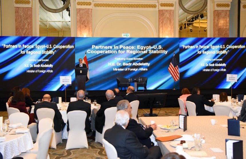 وزير الخارجية بدر عبدالعاطي