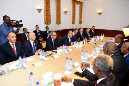 وزير الخارجية يؤكد لنظيره السوداني ثوابت الموقف المصري الداعم لوحدة السودان واستقراره