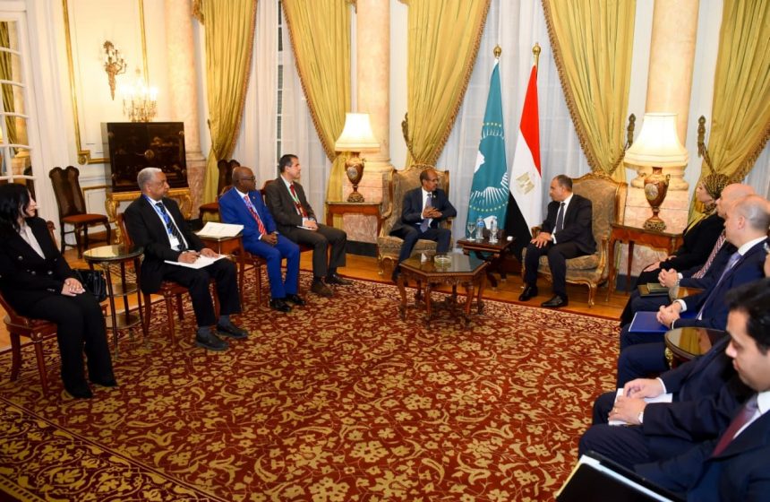 وزير الخارجية يلتقي رئيس مفوضية الاتحاد الأفريقي