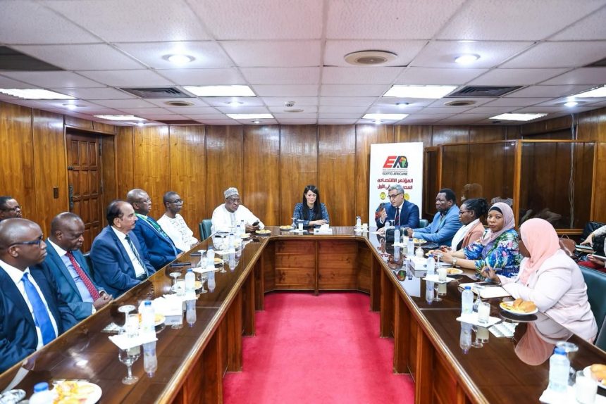 وزيرة التخطيط لسفراء 7 دول أفريقية