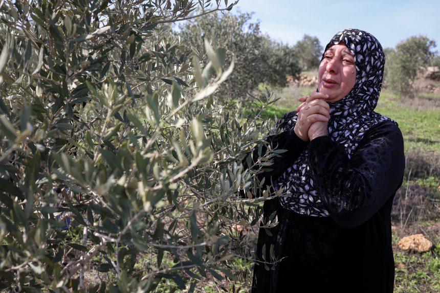 امرأة فلسطينية في الضفة الغربية