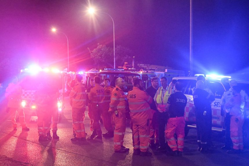 WhatsApp Image 2025 12 14 at 16.14.08 2ceddafc 1