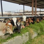 WhatsApp Image 2025 12 14 at 16.40.24 a22d9600