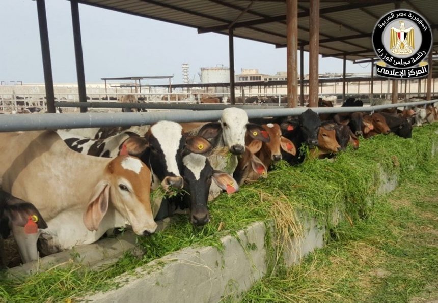 WhatsApp Image 2025 12 14 at 16.40.24 a22d9600