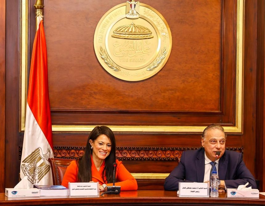 المشاط خلال لقاء أعضاء لجنة الشئون الخارجية بمجلس الشيوخ