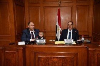 رئيس هيئة تنمية الصعيد يستعرض جهود وخطة عمل الهيئة أمام لجنة الإسكان والإدارة المحلية والنقل بمجلس الشيوخ