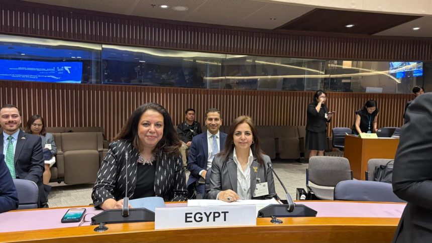 مصر تشارك في مؤتمر مديري عموم الوكالات المعنية بالتعاون الجنوب جنوب والتعاون التنموي الثلاثي