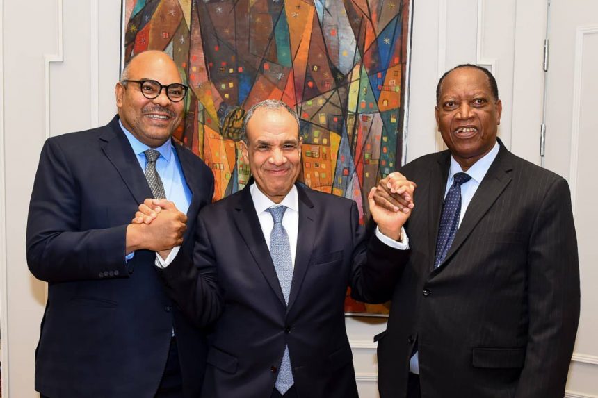 وزير الخارجية يلتقي نظيره التنزاني e1766157584336