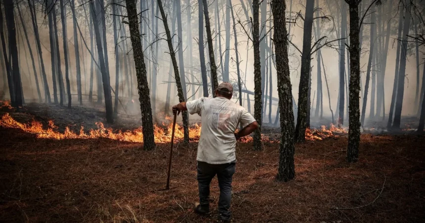 2025 كان ثالث أكثر الأعوام حرارة على الإطلاق