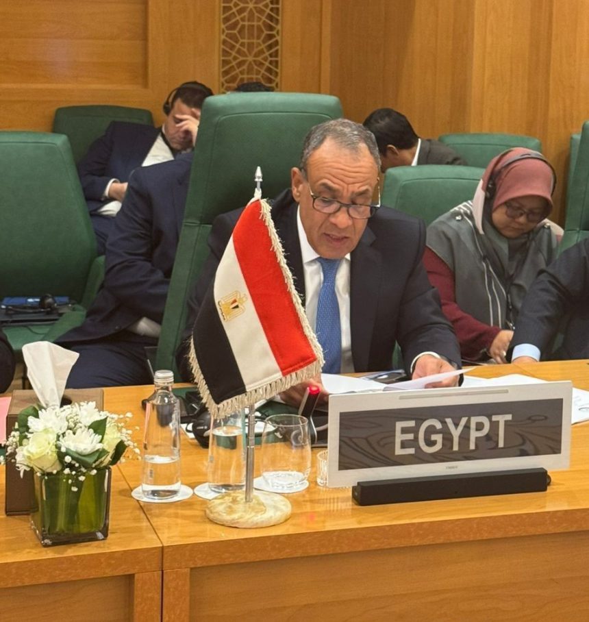 بدر عبد العاطي، وزير الخارجية والهجرة وشئون المصريين بالخارج