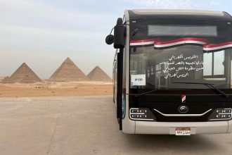 616811598 1458479072989175 5764056030027503344 n