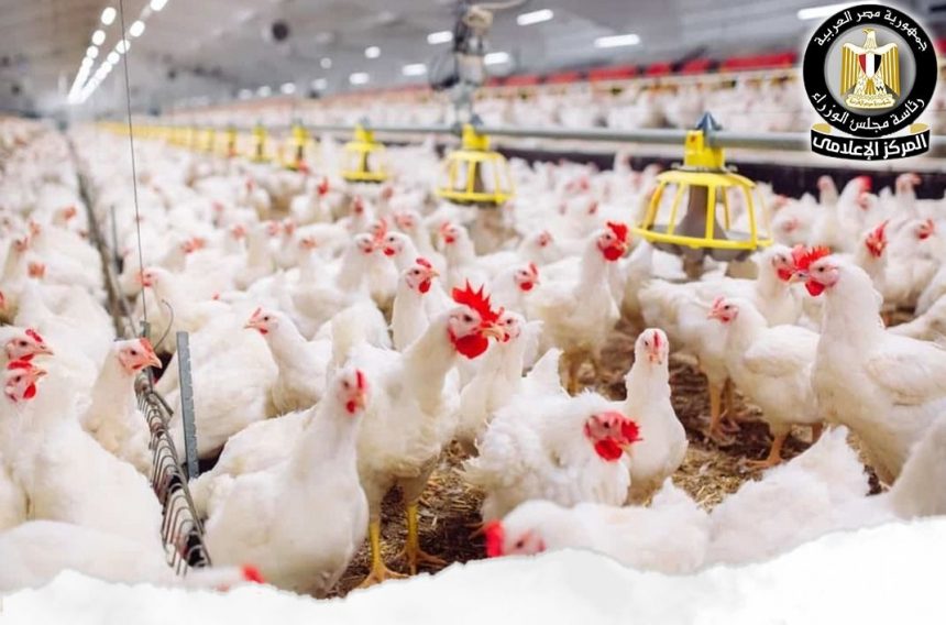 619402613 1464086745761741 5896334973004019904 n e1769613387480