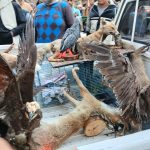 WhatsApp Image 2026 01 17 at 7.34.48 PM