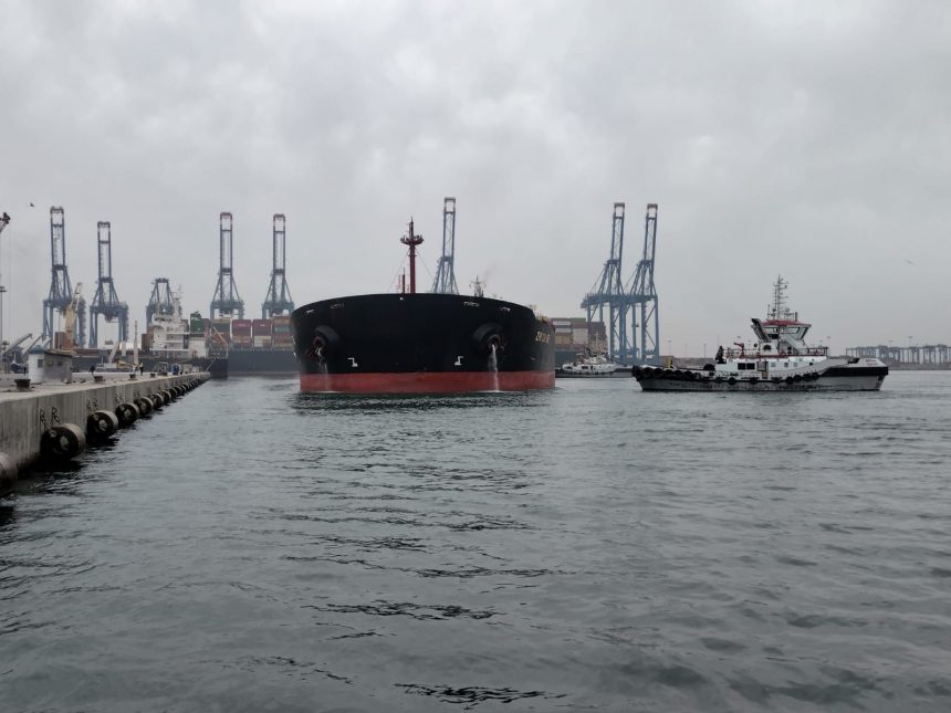 إنجاز جديد. ميناء دمياط يستقبل أكبر حمولة بضائع عامة في تاريخه