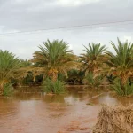الأمطار الغزيرة في المغرب