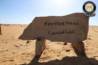 الغابة المتحجرة e1767612202946