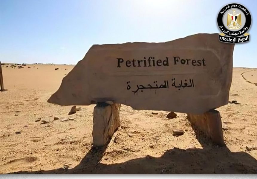 الغابة المتحجرة e1767612202946