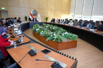 شين فينج الصينية تخطط لإنشاء مجمع لإنتاج ألواح السيارات بمصر. باستثمارات 10 مليارات دولار