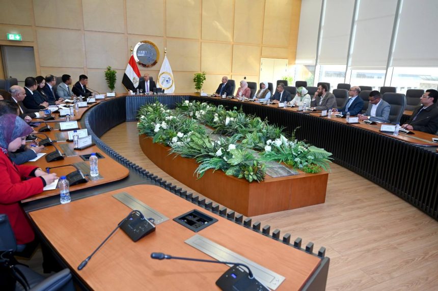 شين فينج الصينية تخطط لإنشاء مجمع لإنتاج ألواح السيارات بمصر. باستثمارات 10 مليارات دولار