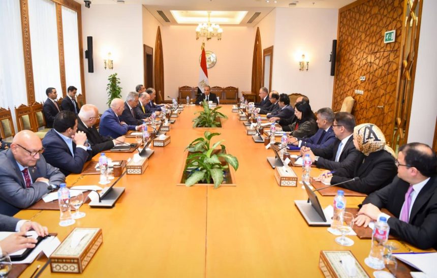 وزير الخارجية يؤكد على الدور المحوري للقطاع الخاص في تعزيز الشراكات الاقتصادية مع أفريقيا