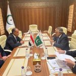 وزير الخارجية يؤكد لنظيره الباكستاني ضرورة خفض التصعيد باليمن بعيدًا عن الإجراءات الأحادية ونشر قوة الاستقرار بغزة e1768153775994