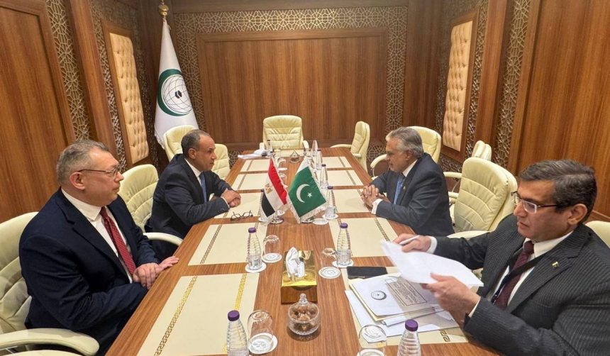 وزير الخارجية يؤكد لنظيره الباكستاني ضرورة خفض التصعيد باليمن بعيدًا عن الإجراءات الأحادية ونشر قوة الاستقرار بغزة e1768153775994