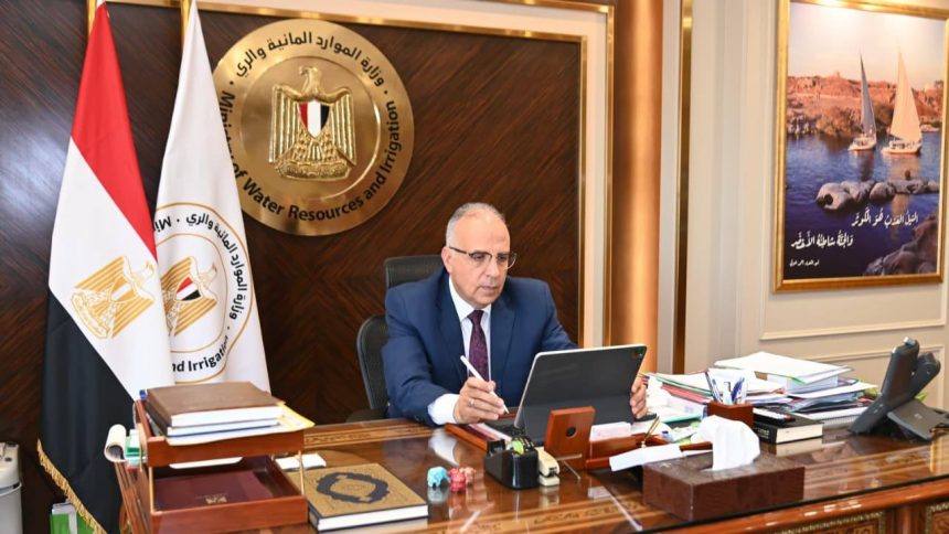 وزير الري سويلم