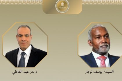 وزيرا خارجية مصر ونيجيريا e1769792502856