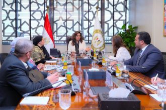 وزيرة التنمية المحلية والقائم بأعمال وزير البيئة تعقد اجتماعًا موسعًا مع عدد من رؤساء الإدارات المركزية