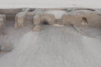 WhatsApp Image 2026 02 23 at 5.29.17 PM