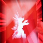 الدب الذهبي