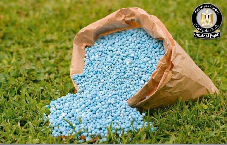 المركز الإعلامي لمجلس الوزراء يوضح حقيقة نقص التقاوي والأسمدة المعتمدة لزراعة القمح بالمنافذ الرسمية e1770041123111