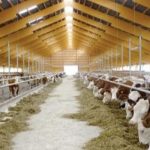 المشروع القومي للبتلو