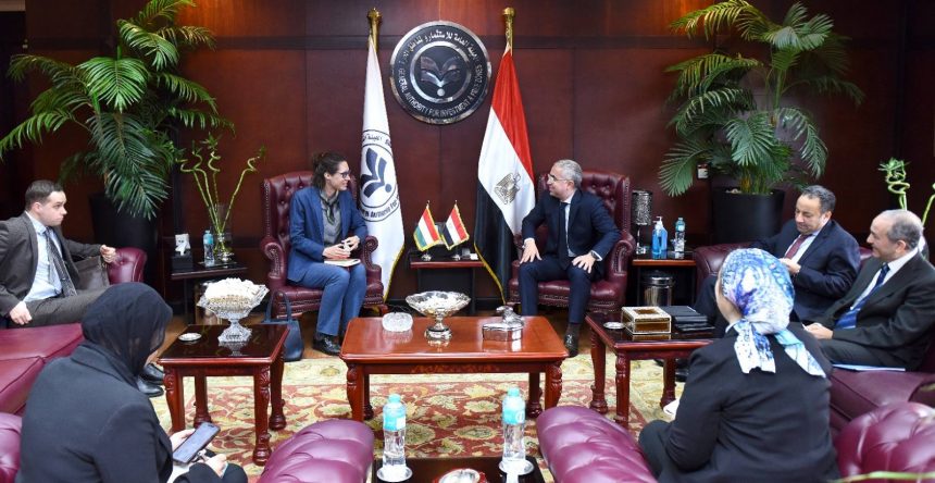 الهيئة العامة للاستثمار والمناطق الحرة تبحث تعزيز الشراكة الاستثمارية بين مصر والمجر وإقامة شراكات صناعية جديدة