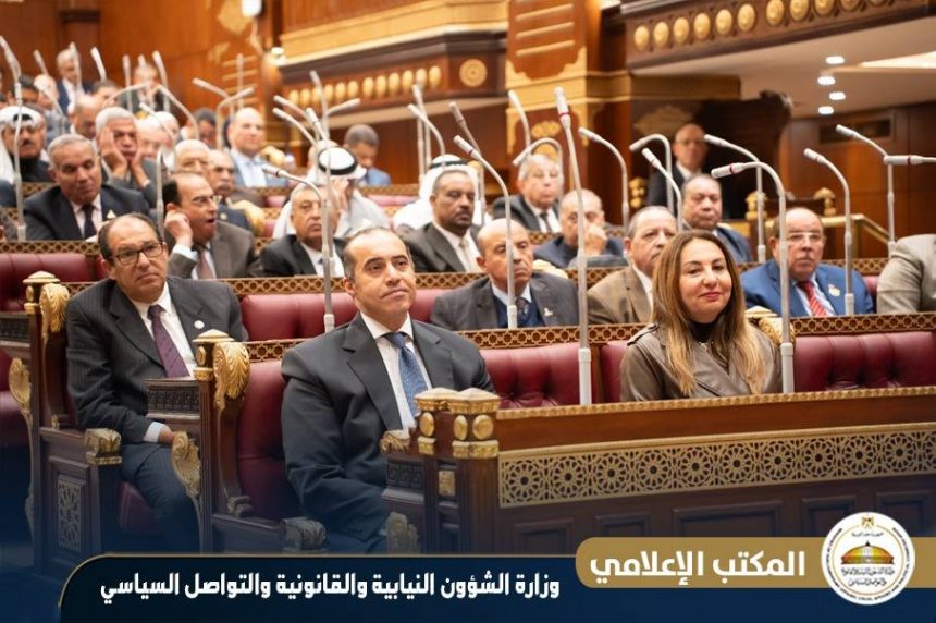 الوزير محمود فوزي