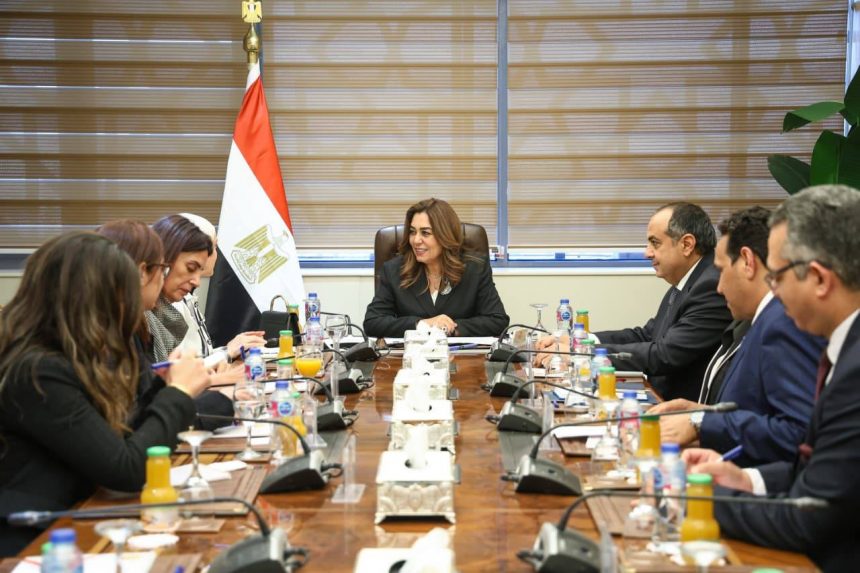 بالشراكة مع برنامج الأغذية العالمي. نقل الخبرات المصرية في حياة كريمة للدول الأفريقية