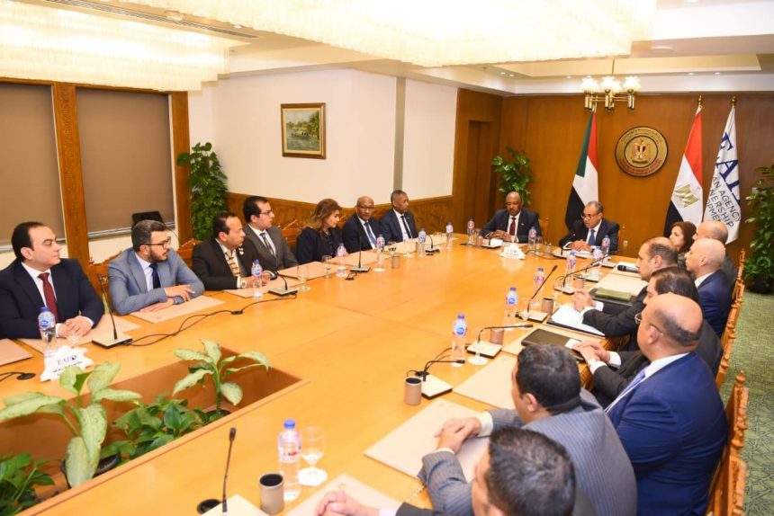 وزير الخارجية ونظيره السوداني يشاركان في احتفالية تكريم الفريق الطبي المصري