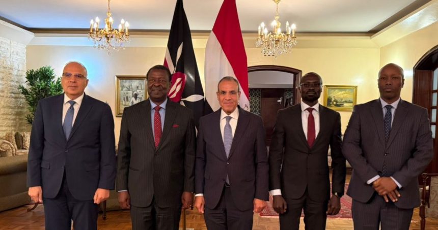 وزير الخارجية يبحث مع وزراء كينيين تعزيز الشراكة الاقتصادية والتعاون في إدارة الموارد المائية e1771342915219