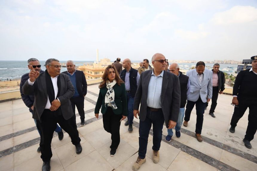 الإسكندرية والتطوير