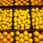 الليمون المصري