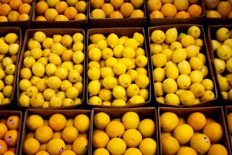 الليمون المصري